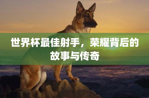 世界杯最佳射手，荣耀背后的故事与传奇