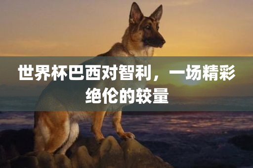 世界杯巴西对智利，一场精彩绝伦的较量