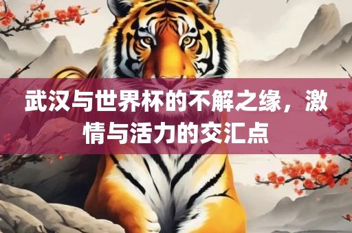 武汉与世界杯的不解之缘，激情与活力的交汇点