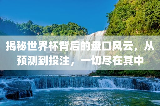 揭秘世界杯背后的盘口风云，从预测到投注，一切尽在其中