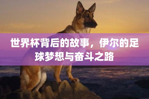 世界杯背后的故事，伊尔的足球梦想与奋斗之路