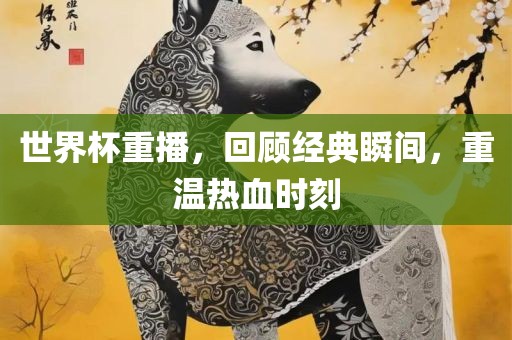 世界杯重播，回顾经典瞬间，重温热血时刻
