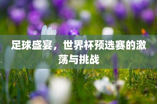 足球盛宴，世界杯预选赛的激荡与挑战