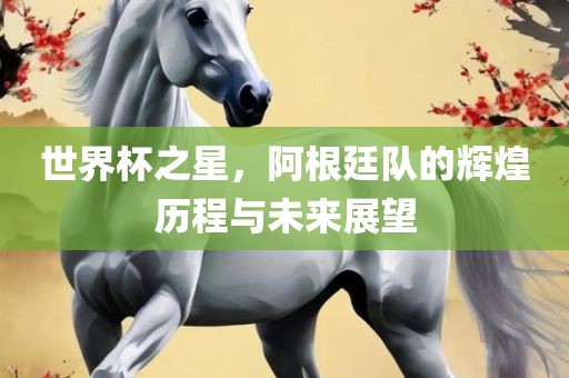 世界杯之星，阿根廷队的辉煌历程与未来展望