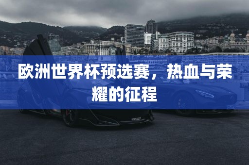 欧洲世界杯预选赛，热血与荣耀的征程