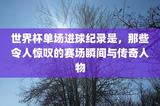 世界杯单场进球纪录是，那些令人惊叹的赛场瞬间与传奇人物