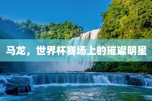 马龙，世界杯赛场上的璀璨明星