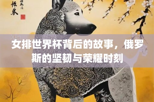女排世界杯背后的故事，俄罗斯的坚韧与荣耀时刻