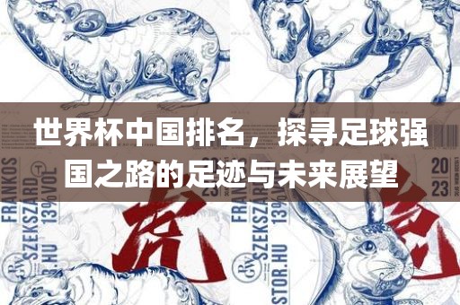 世界杯中国排名，探寻足球强国之路的足迹与未来展望