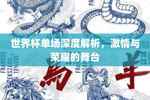 世界杯单场深度解析，激情与荣耀的舞台