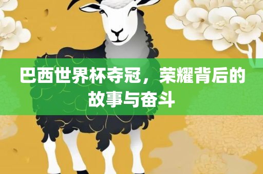 巴西世界杯夺冠，荣耀背后的故事与奋斗