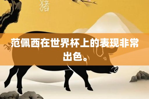 范佩西在世界杯上的表现非常出色。
