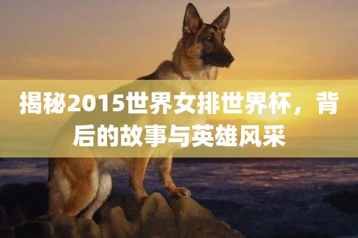 揭秘2015世界女排世界杯，背后的故事与英雄风采