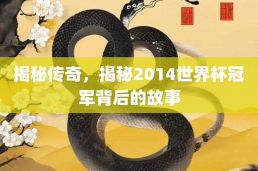 揭秘传奇，揭秘2014世界杯冠军背后的故事