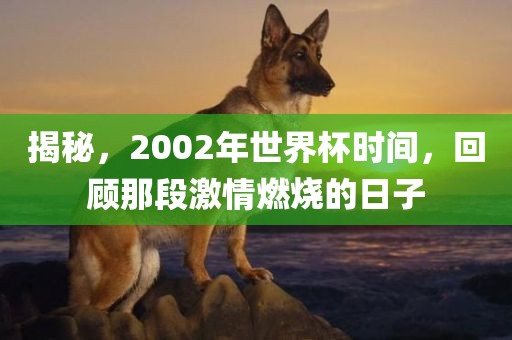 揭秘，2002年世界杯时间，回顾那段激情燃烧的日子