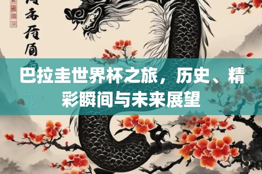 巴拉圭世界杯之旅，历史、精彩瞬间与未来展望