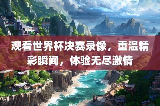 观看世界杯决赛录像，重温精彩瞬间，体验无尽激情