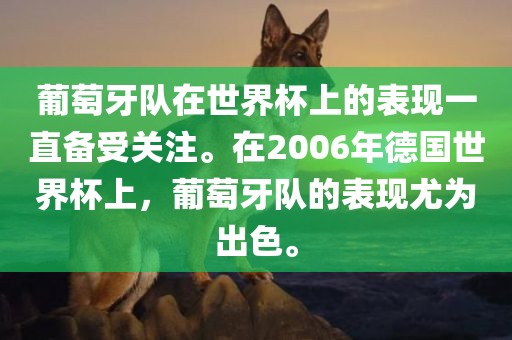 葡萄牙队在世界杯上的表现一直备受关注。在2006年德国世界杯上，葡萄牙队的表现尤为出色。