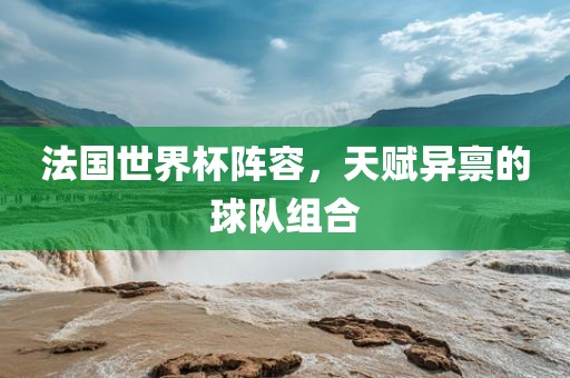法国世界杯阵容，天赋异禀的球队组合