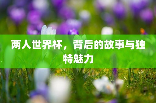 两人世界杯，背后的故事与独特魅力