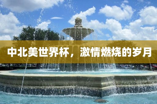 中北美世界杯，激情燃烧的岁月