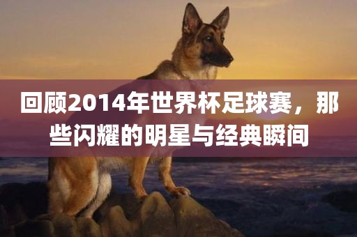 回顾2014年世界杯足球赛，那些闪耀的明星与经典瞬间