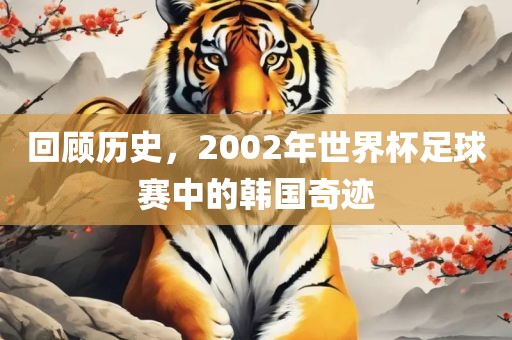 回顾历史，2002年世界杯足球赛中的韩国奇迹