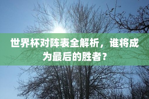 世界杯对阵表全解析，谁将成为最后的胜者？