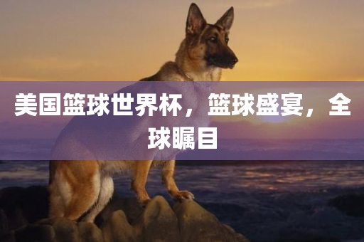 篮球盛宴 第4页