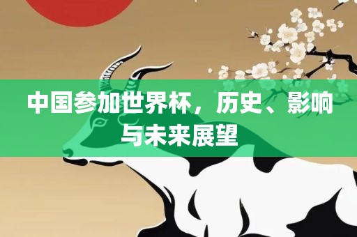 中国参加世界杯，历史、影响与未来展望