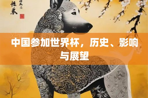 中国参加世界杯，历史、影响与展望