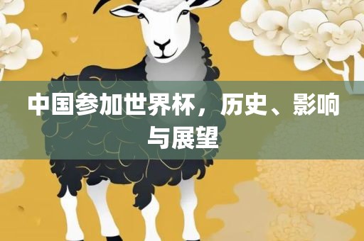 中国参加世界杯，历史、影响与展望