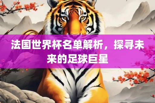 法国世界杯名单解析，探寻未来的足球巨星