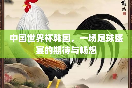 中国世界杯韩国，一场足球盛宴的期待与畅想
