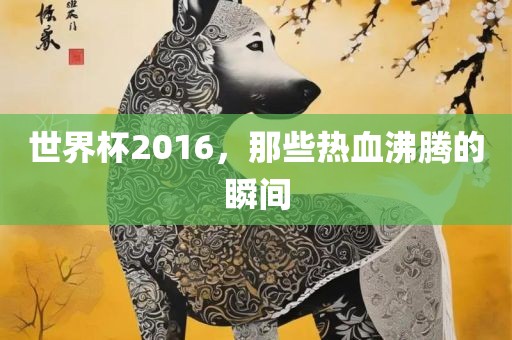 世界杯2016，那些热血沸腾的瞬间