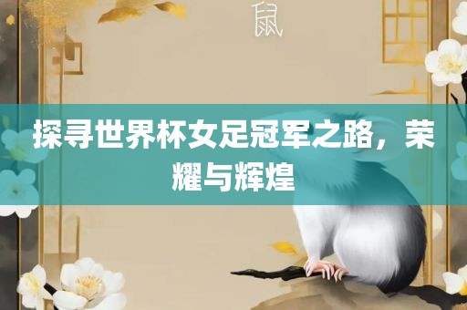 探寻世界杯女足冠军之路，荣耀与辉煌
