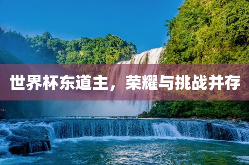 世界杯东道主，荣耀与挑战并存眉山市正发家政服务有限公司