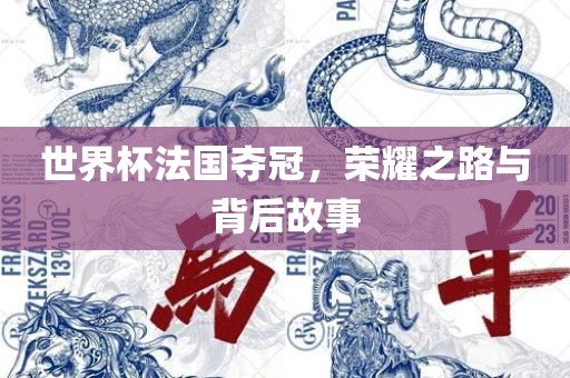 世界杯法国夺冠，荣耀之路与背后故事