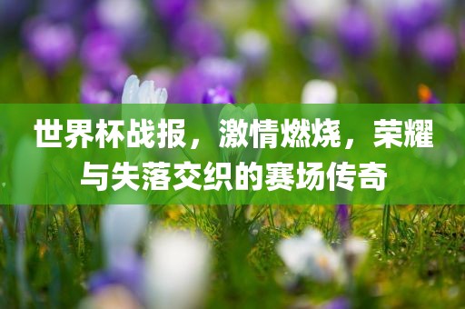 世界杯战报，激情燃烧，荣耀与失落交织的赛场传奇