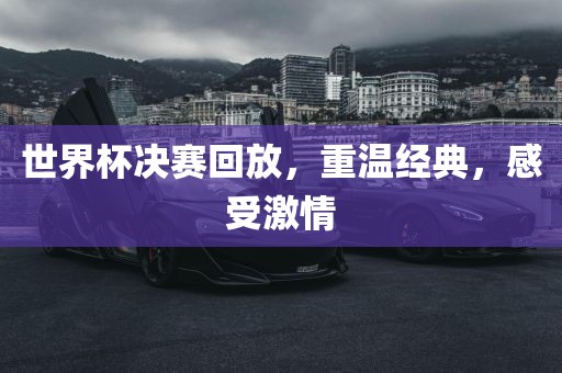 世界杯决赛回放，重温经典，感受激情