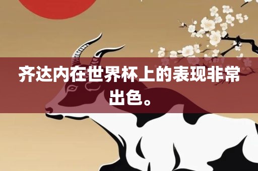 齐达内在世界杯上的表现非常出色。眉山市正发家政服务有限公司