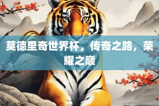 莫德里奇世界杯，传奇之路，荣耀之巅