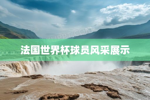 法国世界杯球员风采展示