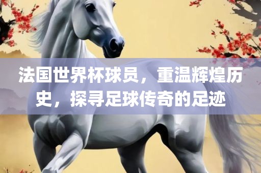 法国世界杯球员，重温辉煌历史，探寻足球传奇的足迹