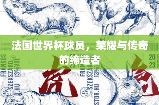 法国世界杯球员，荣耀与传奇的缔造者