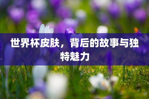 世界杯皮肤，背后的故事与独特魅力