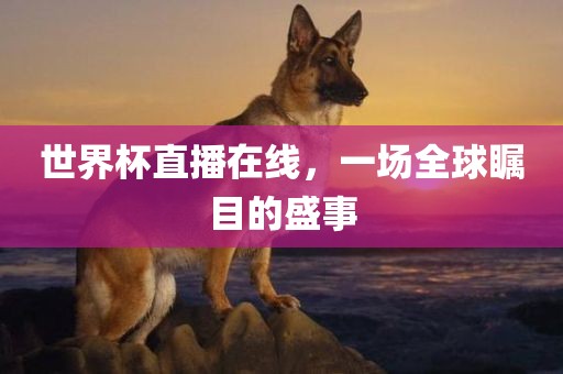 全球瞩目 第4页