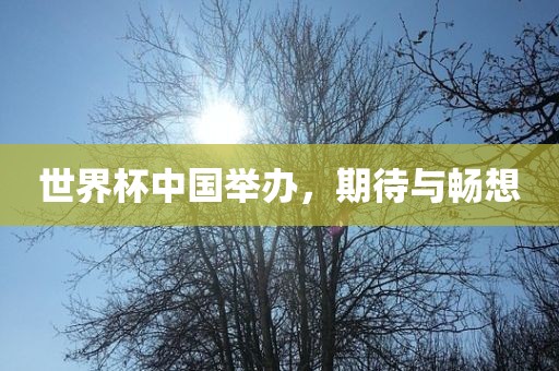 世界杯中国举办，期待与畅想