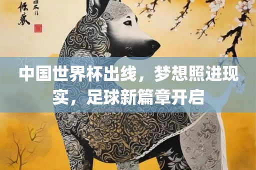 中国世界杯出线，梦想照进现实，足球新篇章开启