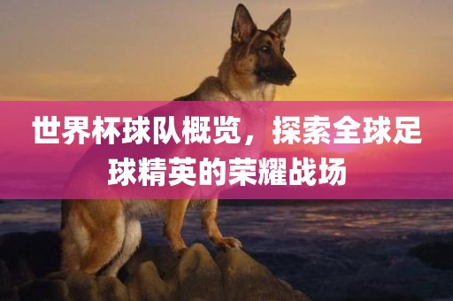 世界杯球队概览，探索全球足球精英的荣耀战场